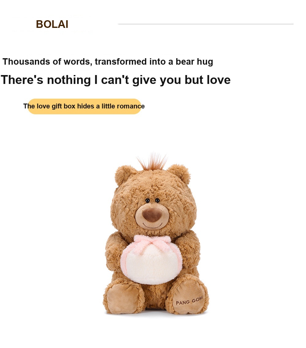 Jimi Bear with Gift Plush Toy