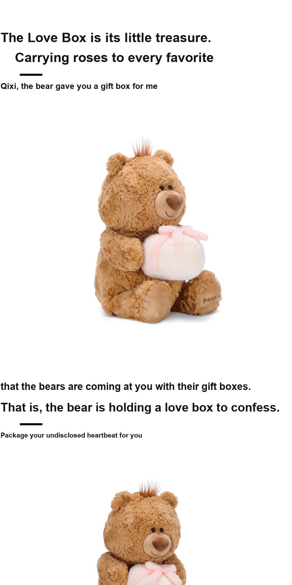 Jimi Bear with Gift Plush Toy