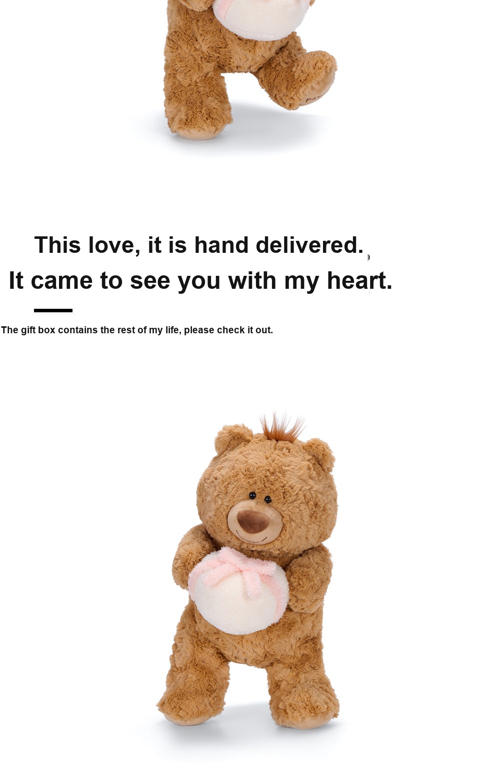 Jimi Bear with Gift Plush Toy