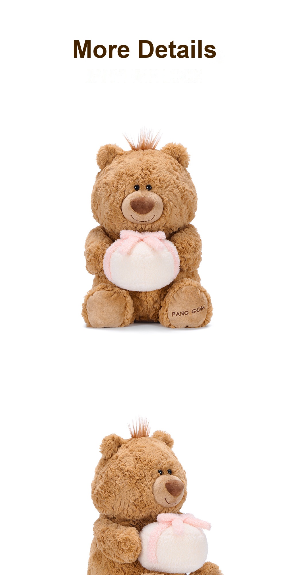 Jimi Bear with Gift Plush Toy