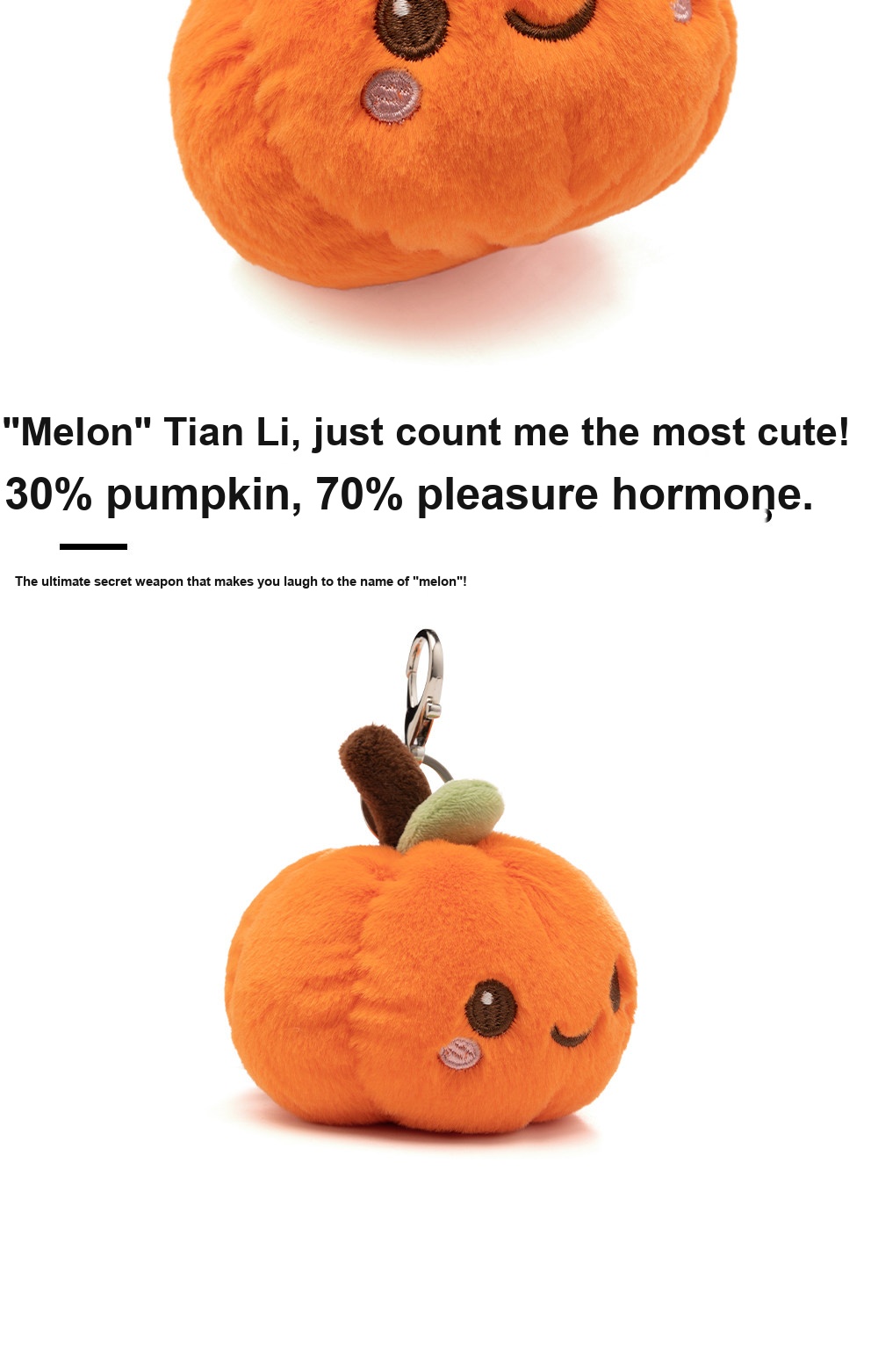 Smiley Pumpkin Plush Charm